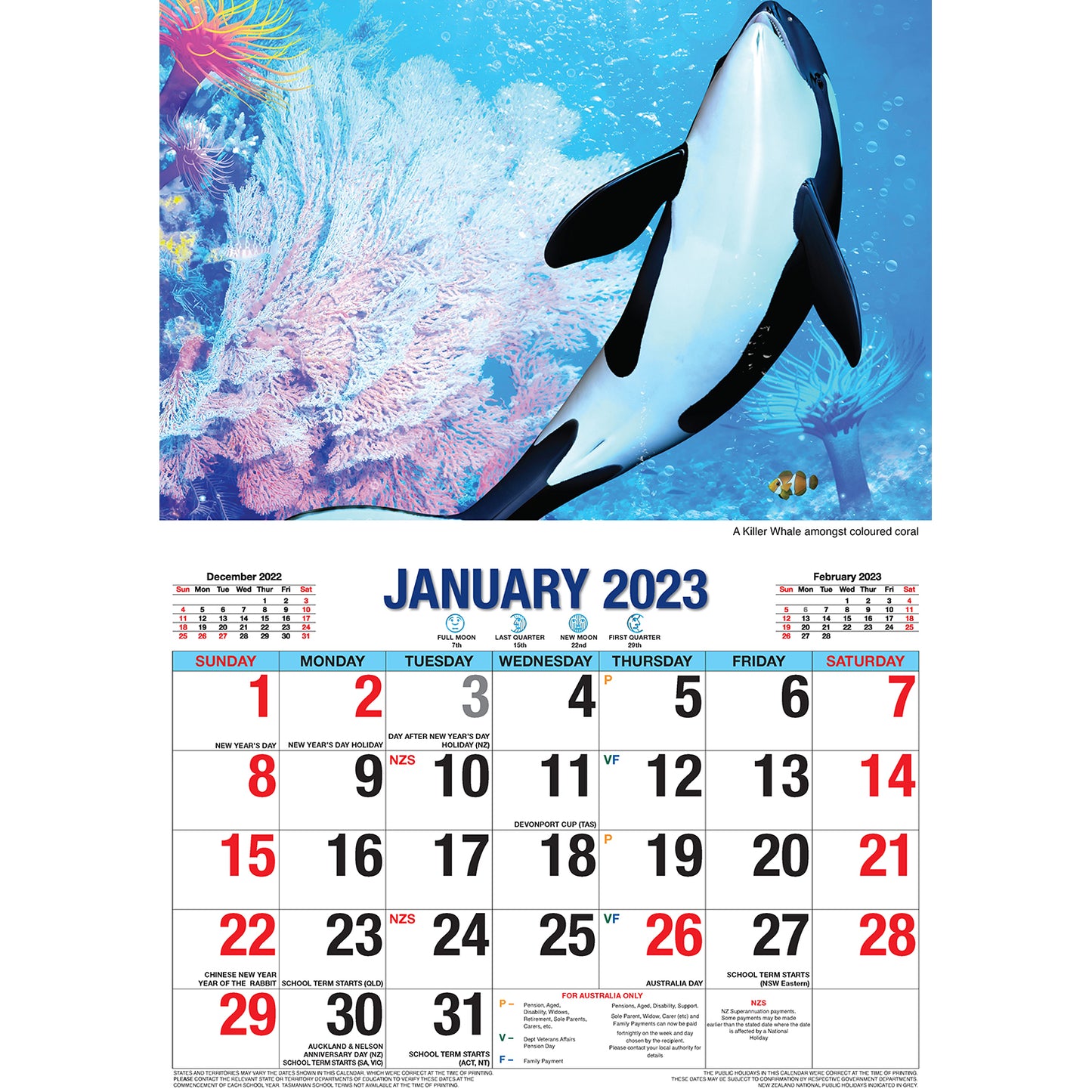 Ocean Wild - 2023 Rectangle Wall Calendar 16 Months Planner New Year Gift V474-544971