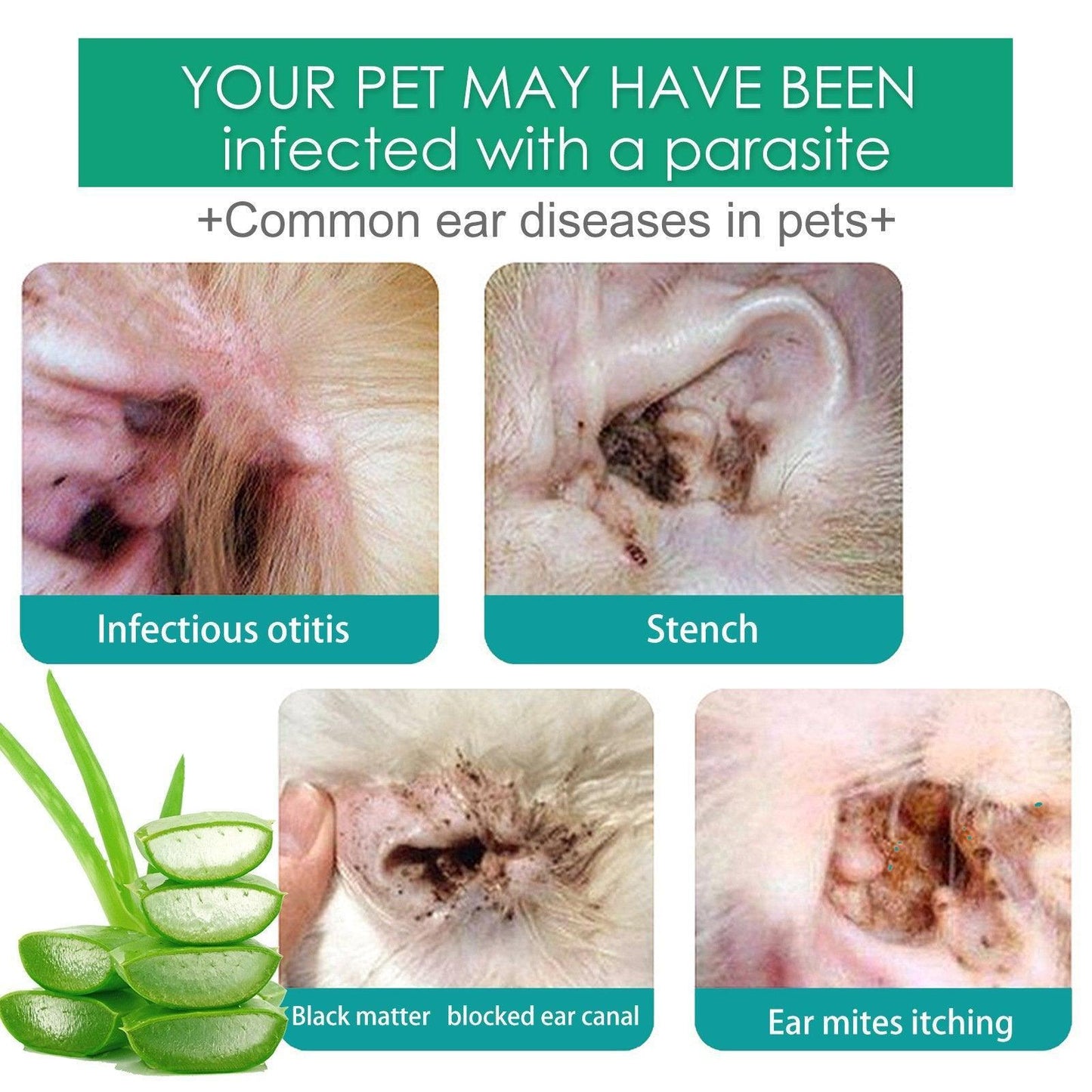 Pet Ear Drops for Cats Dogs Clean Mites Deodorize Itchy Ears Universal Solution V528-EAR-DROPS-281151