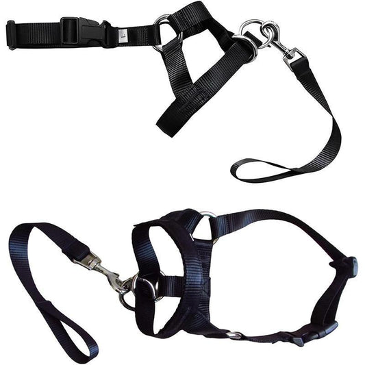 Black Dog Training Head Collar Halter Stop Pulling Training Tool Harness Strap Leader - M V528-MH00505-BLACK-M-473031