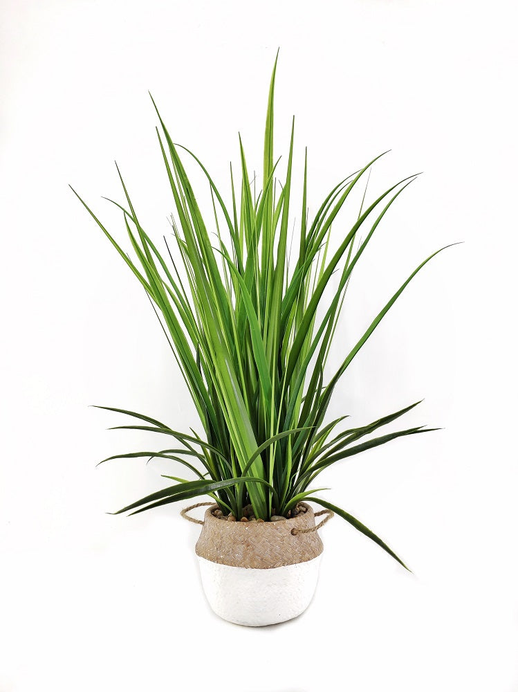 Artificial Grass in Cement Pot 76cm V637-AFL29797