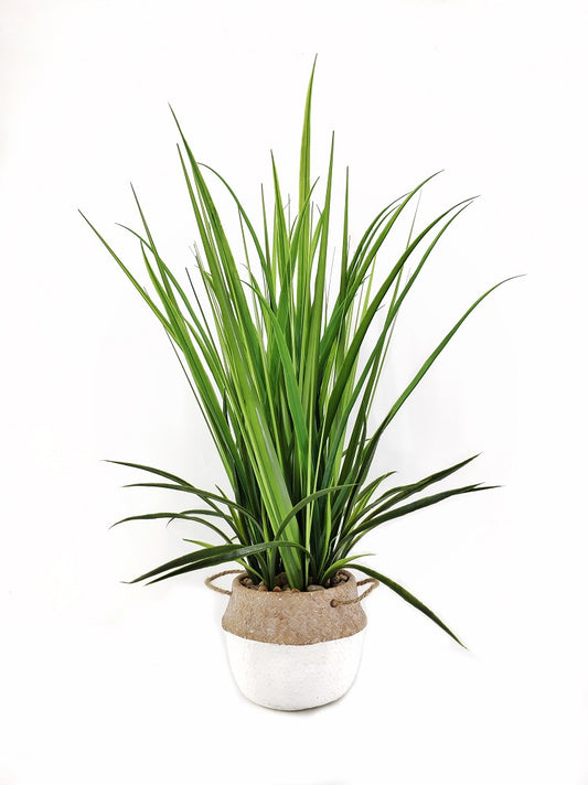 Artificial Grass in Cement Pot 76cm V637-AFL29797