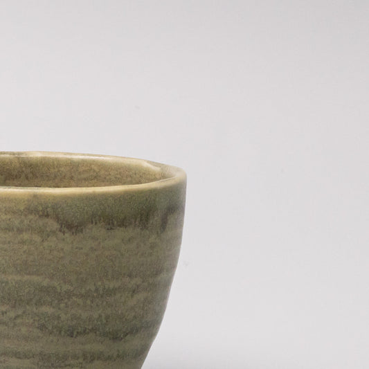 Mug 250ml Washed Fern V637-C0069