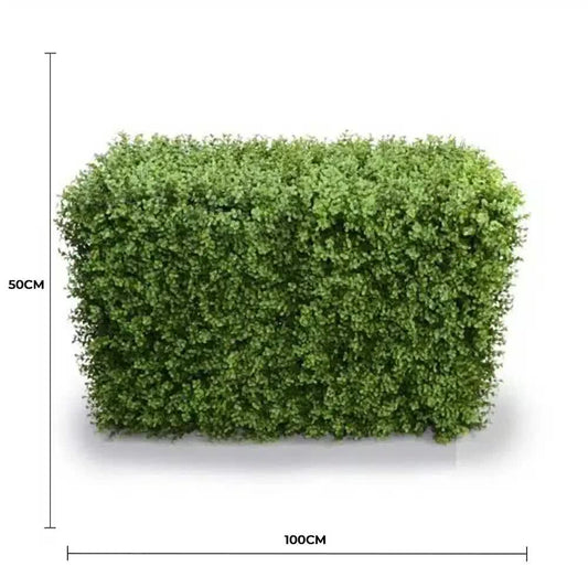Deluxe Portable Buxus Hedge UV Resistant 100cm Long x 50cm High V637-DP1012744