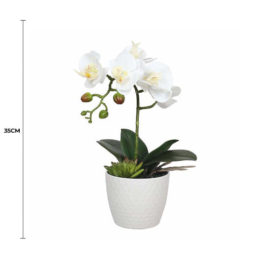 Potted Single Stem White Phalaenopsis Orchid with Decorative Pot 35cm V637-DP1018519