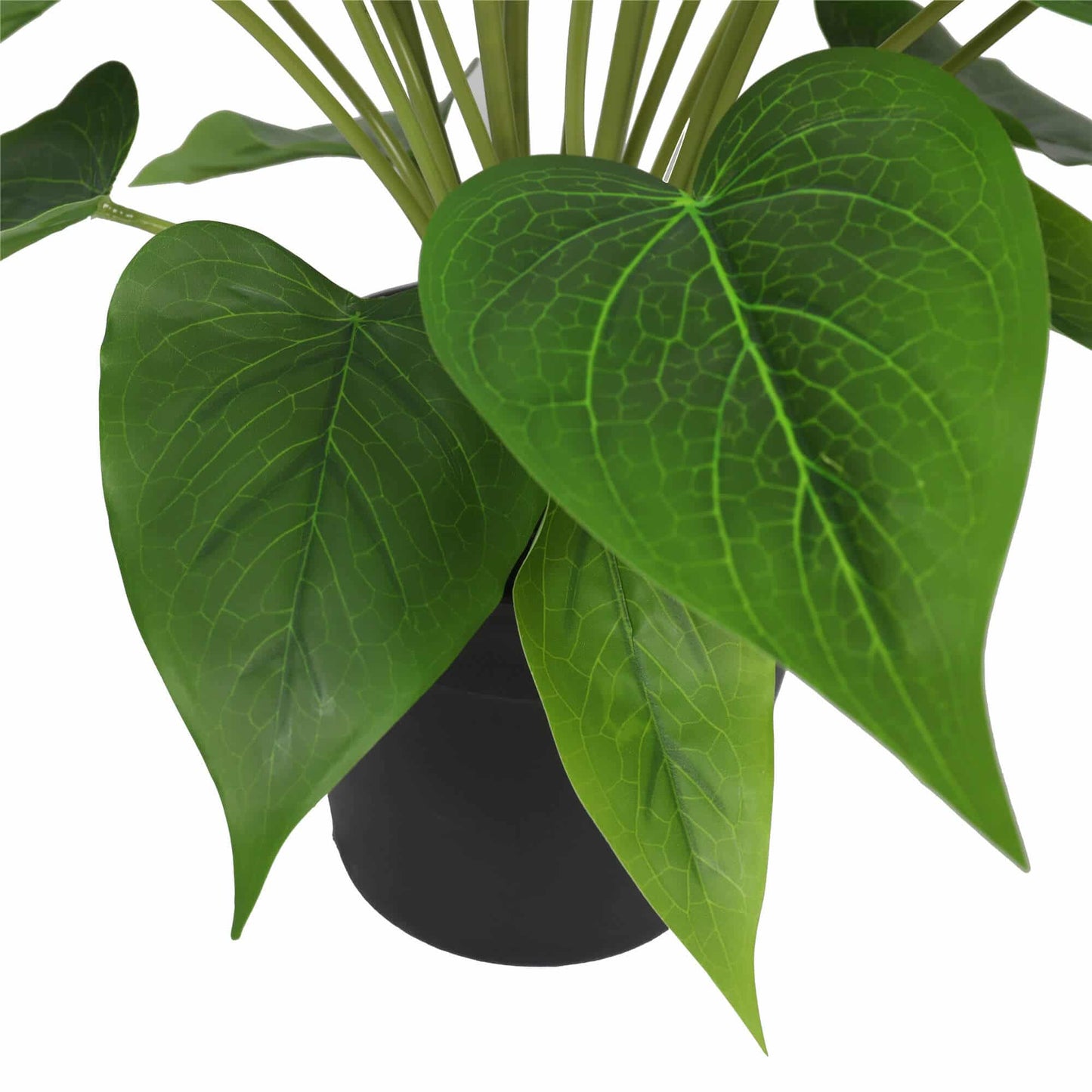 Artificial Flowering White & Orange Peace Lily / Calla Lily Plant 50cm V637-DP1128563