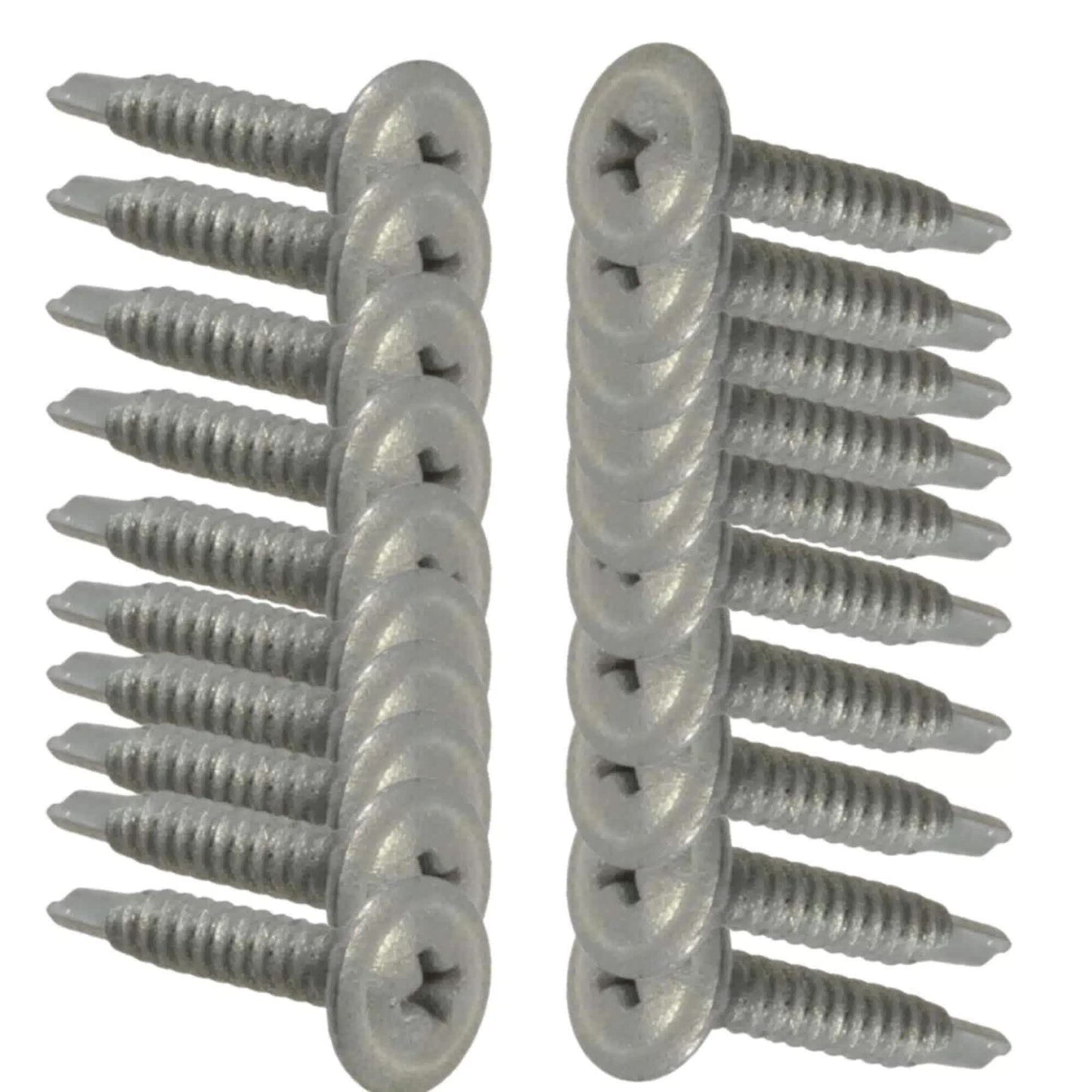 Cement Sheet & Blueboard Green Wall Screws 20pc V637-DP1198715