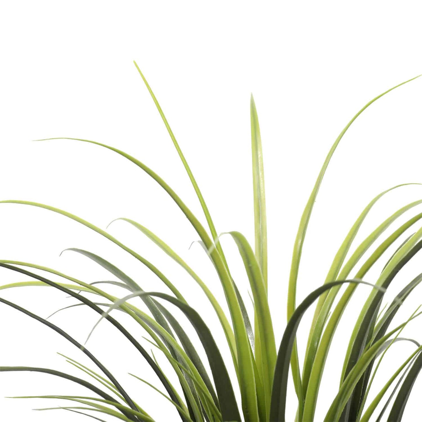 Potted Artificial Long Grass (Yucca Grass) 75cm UV Resistant V637-DP1219243