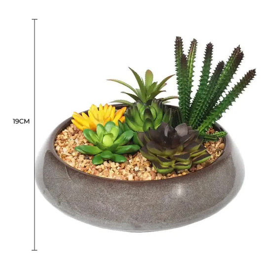 Potted Artificial Succulents with Round Decorative Bowl 19cm V637-DP1780016