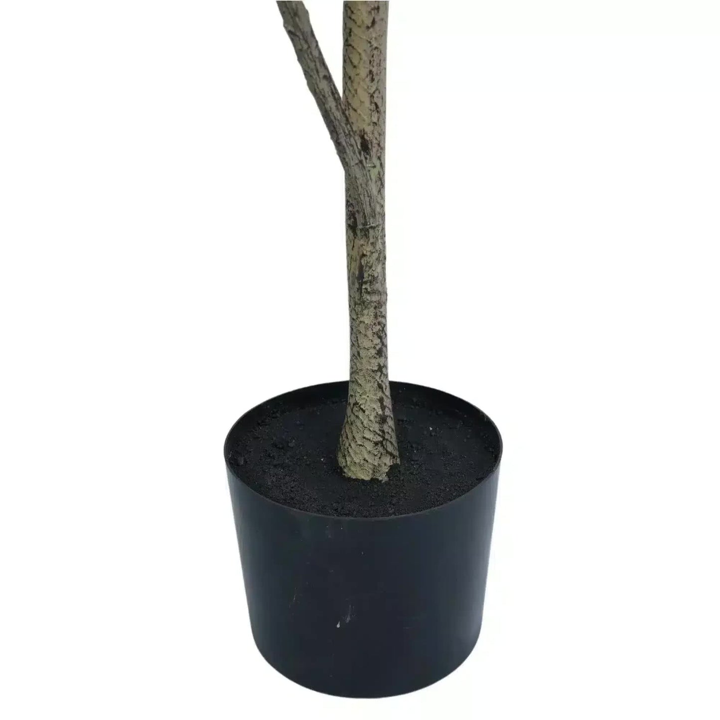 Potted Artificial 180cm Magnolia Tree V637-DP75269KD