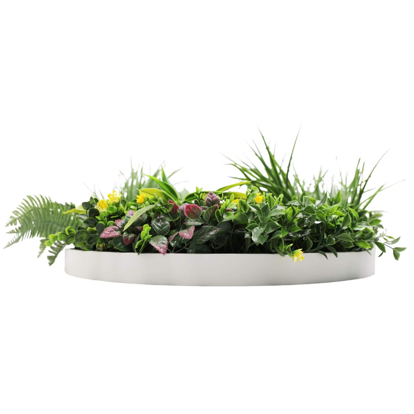 Slimline Artificial Green Wall Disc Art 60cm Country Fern UV Resistant (White) V637-DP9964