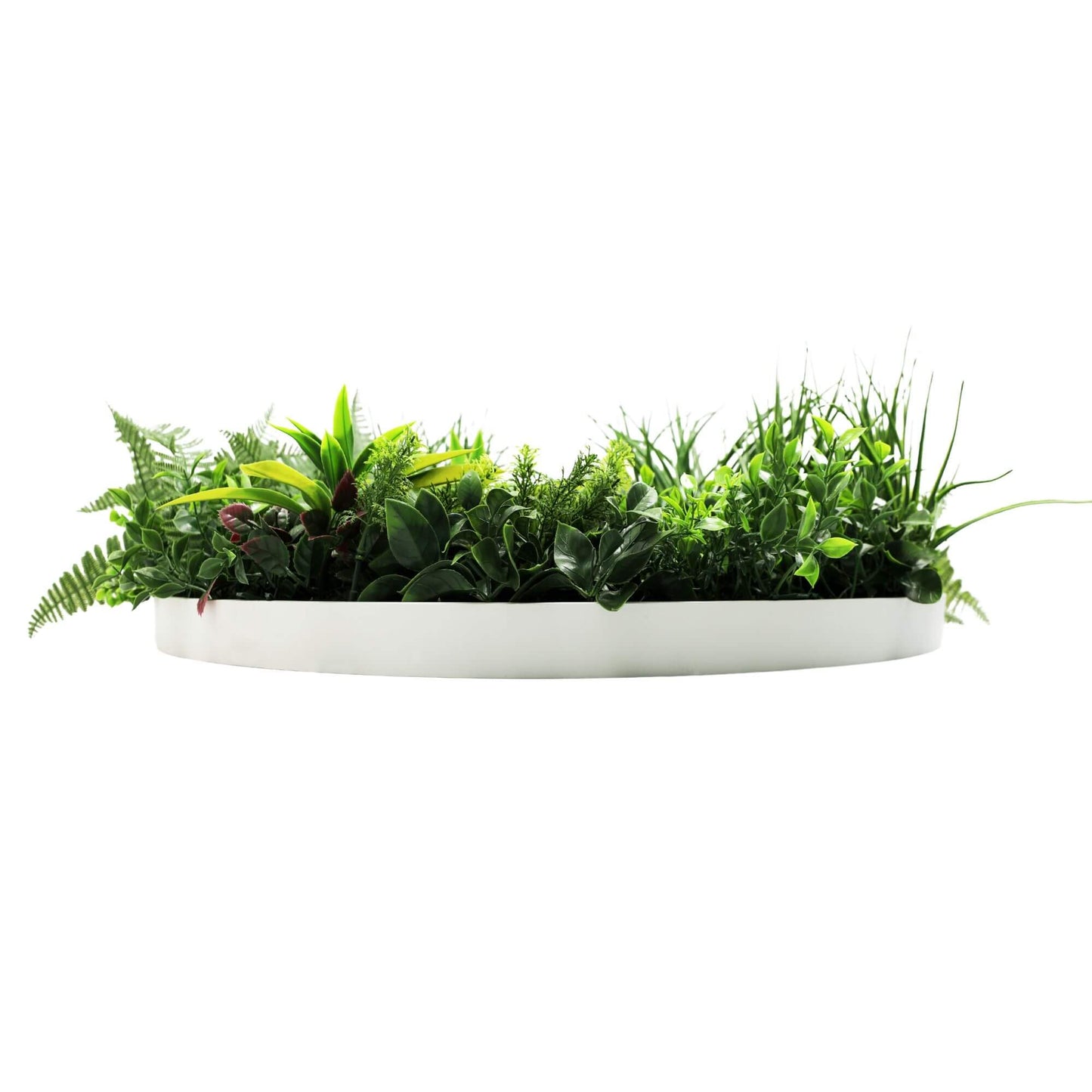 Slimline Artificial Green Wall Disc Art 80cm Country Fern UV Resistant (White) V637-DP9965