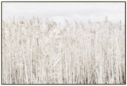 Pampas Grass Framed Canvas Wall Art 120cm V637-E592339