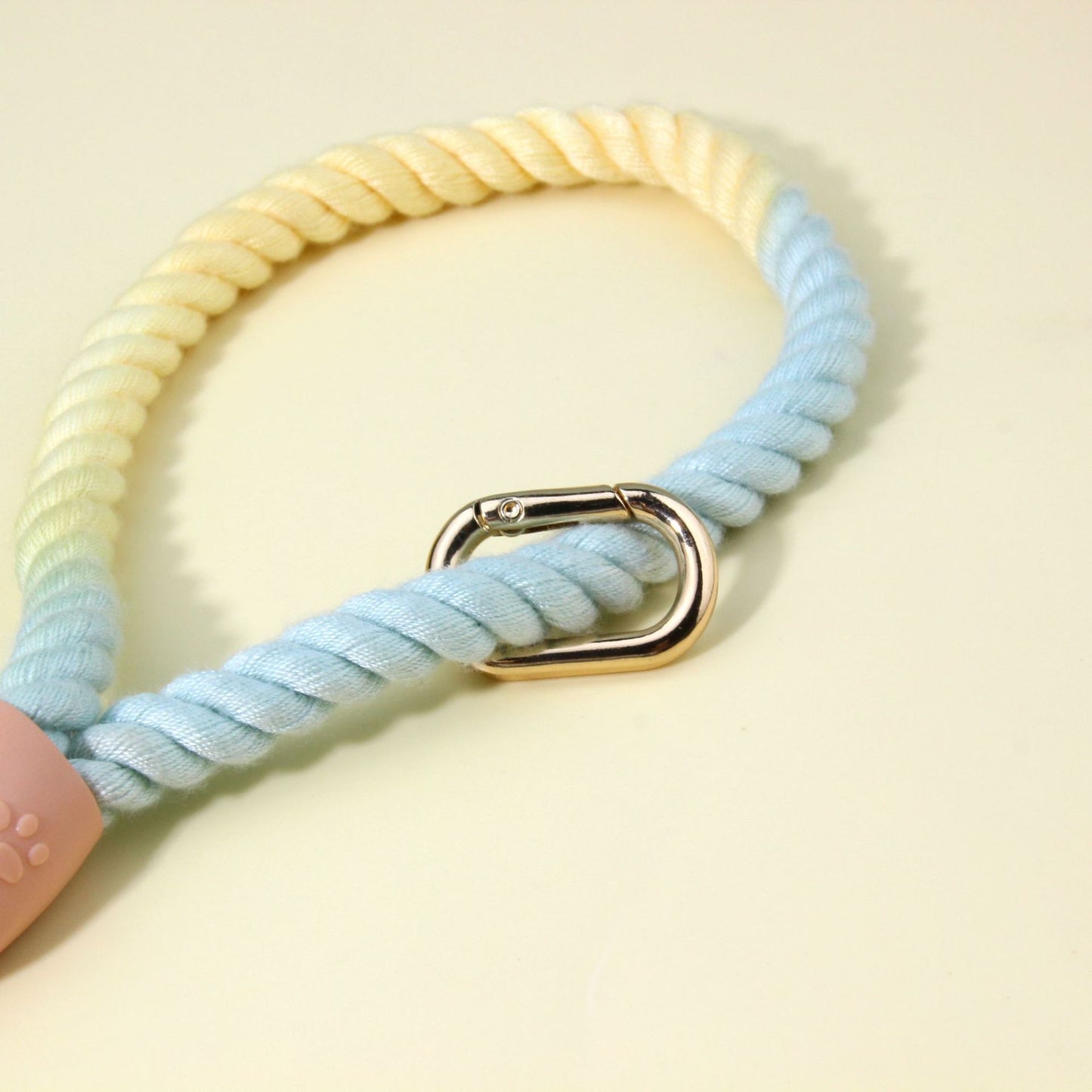 Colorful Vibrant Rainbow Ombre Rope Dog Leash - Durable Nylon P-Chain Slip Lead for Small & Medium Breeds V888-ELOSUNG27906