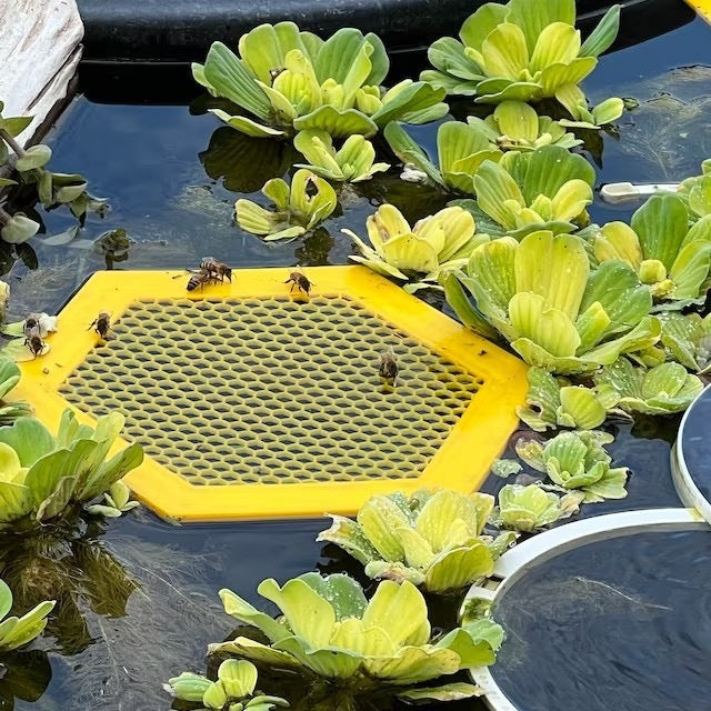 2PCS L 210x180x3.5mm Yellow Floating Bee Saver Waterer - Safe Drinking Platform for Garden Ponds & Bird Baths V888-ELOSUNG33935