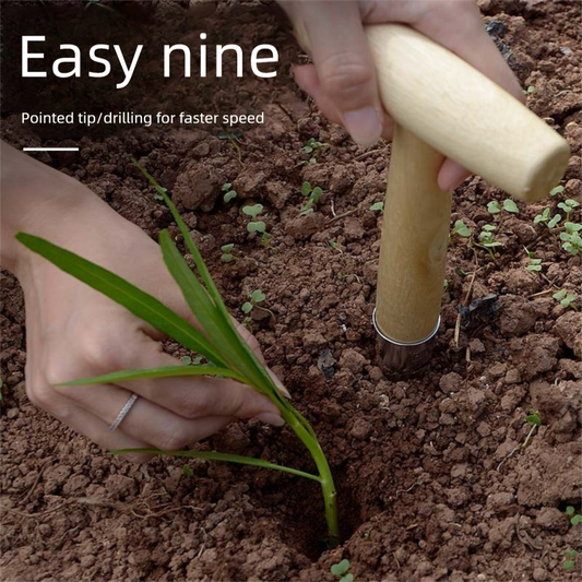 2 Pack Gardening Dibber with T-Shaped Wooden Handle Chrome Tip Seed Sower and Transplanting Tool with V888-ELOSUNG43371