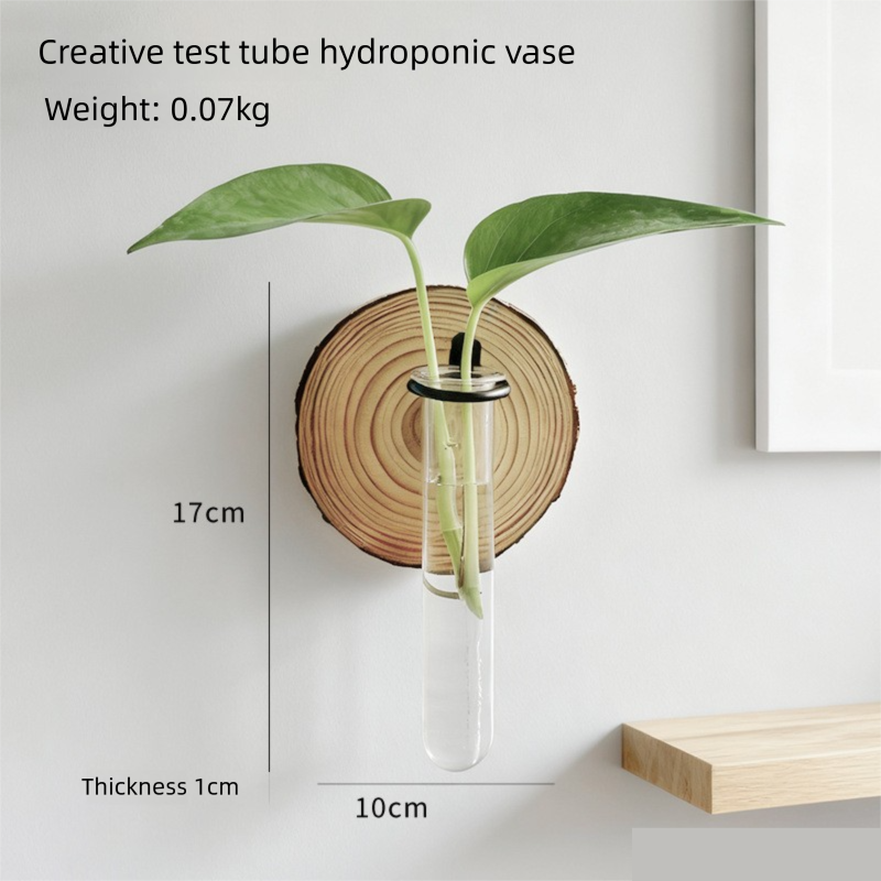 Wall-Mounted Hydroponic Plant Test TubeFlower Pot for Indoor Plants & Cuttings V888-ELOSUNG45204