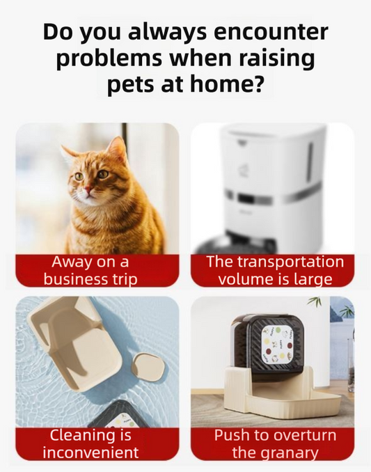 Black Silent Automatic Pet Single Meal Dispenser with Rotary Buckle - Longest 48H Scheduled and Long Battery V888-ELOSUNG45544