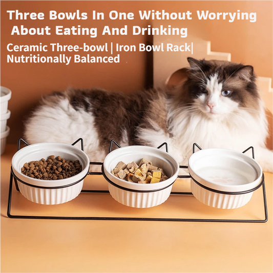 Triple Slanted Ceramic Pet Bowl Set with Elevated Iron Stand and Non Slip Base - 3 x 300ML Versatile Black V888-ELOSUNG49882