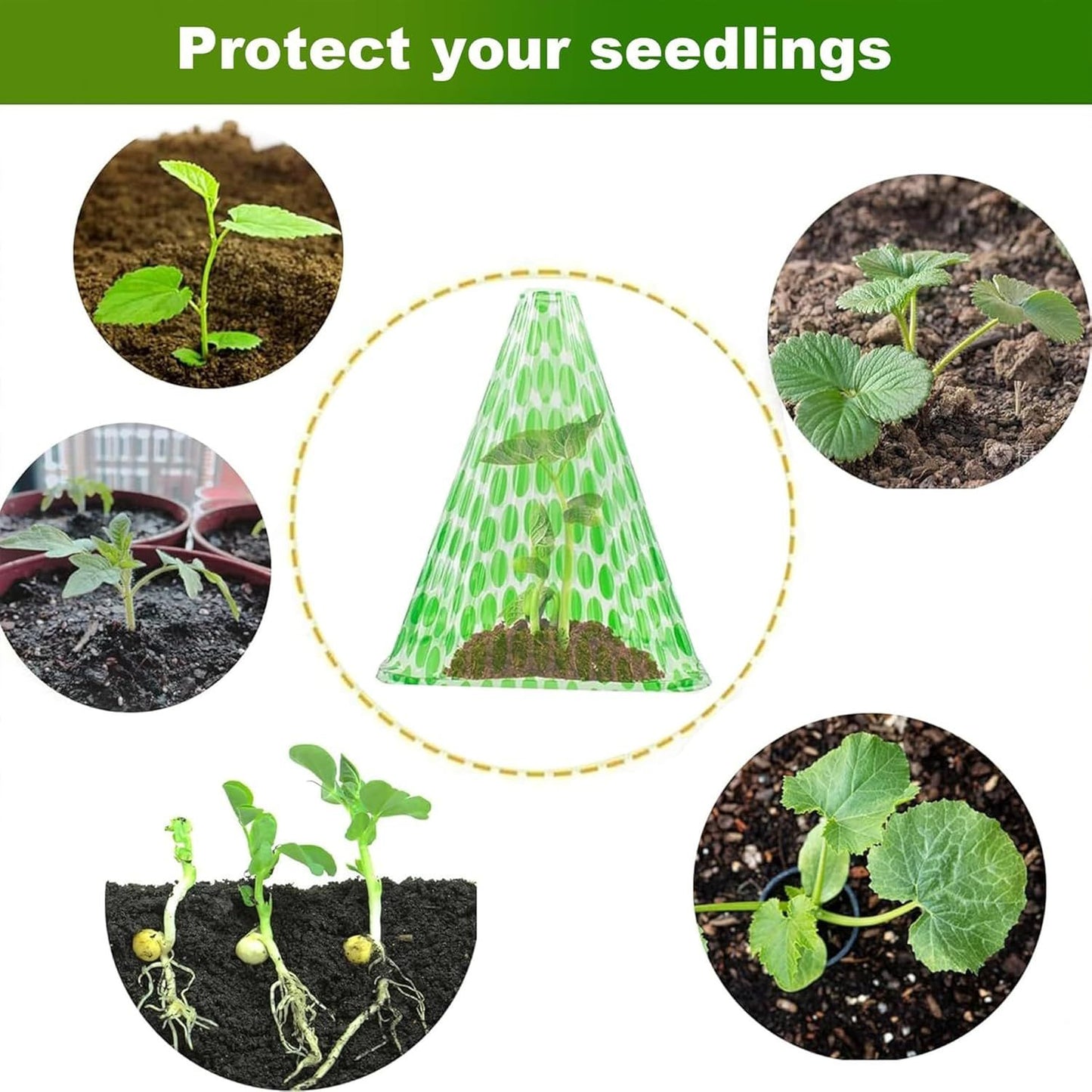10-Pack Reusable Garden Seedling Protective Covers with Securing Earth Pegs - Ventilated Windproof and Frost V888-ELOSUNG52190