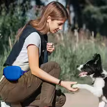 Black Silicone Dog Training Treat Pouch with Adjustable Waist Belt Hands-Free Pet Reward Bag for Outdoor Walks V888-ELOSUNG54023