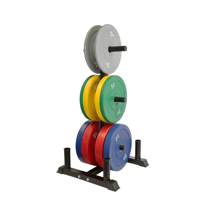Gym Equipment & Accessories