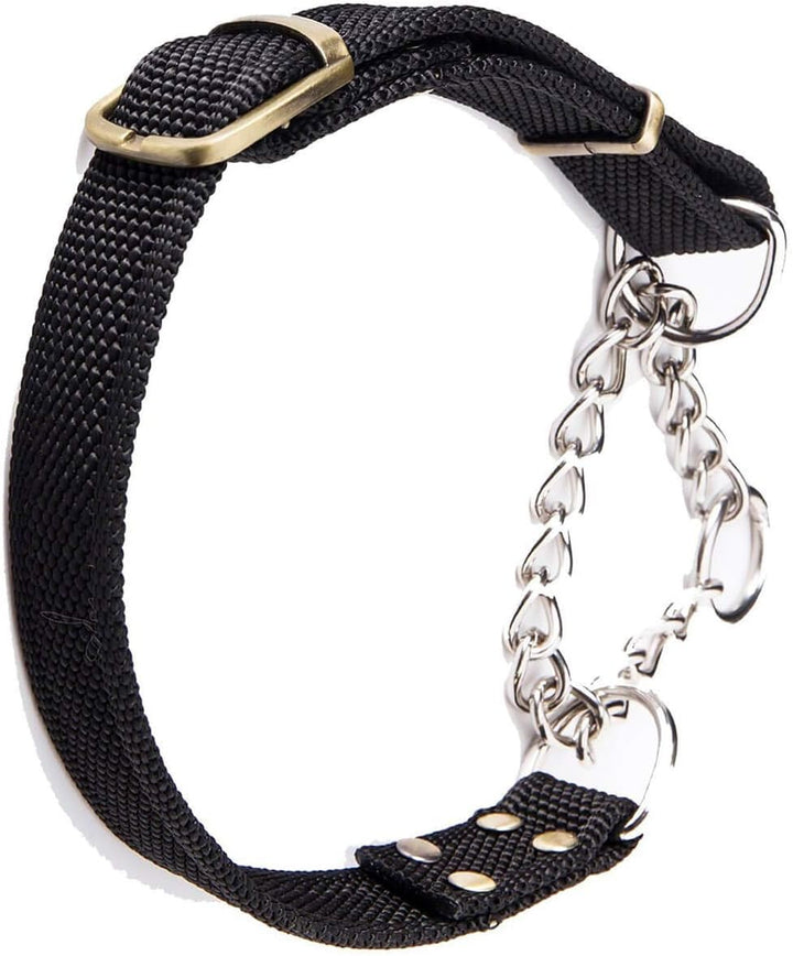 Dog Collars, Leads & Harnesses