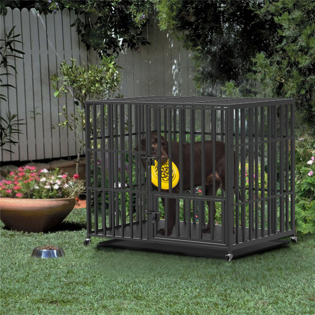 Cat Carriers & Crates