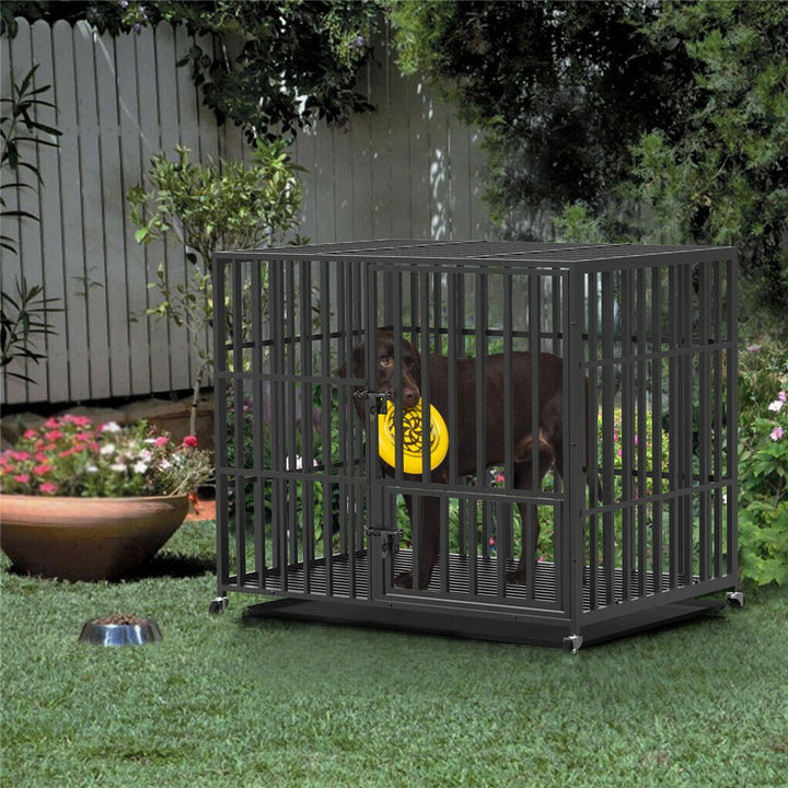 Cat Carriers & Crates