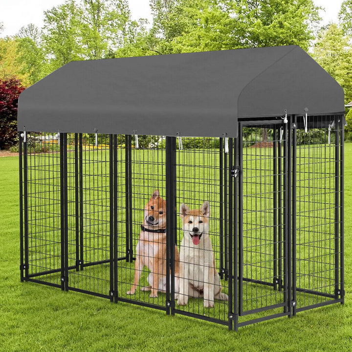 Dog Kennels