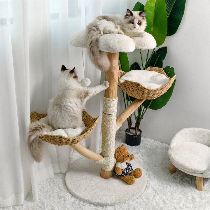Cat Scratching Posts
