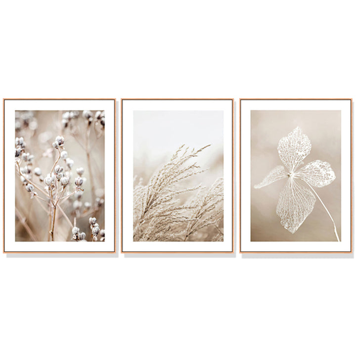 Posters, Paintings & Prints