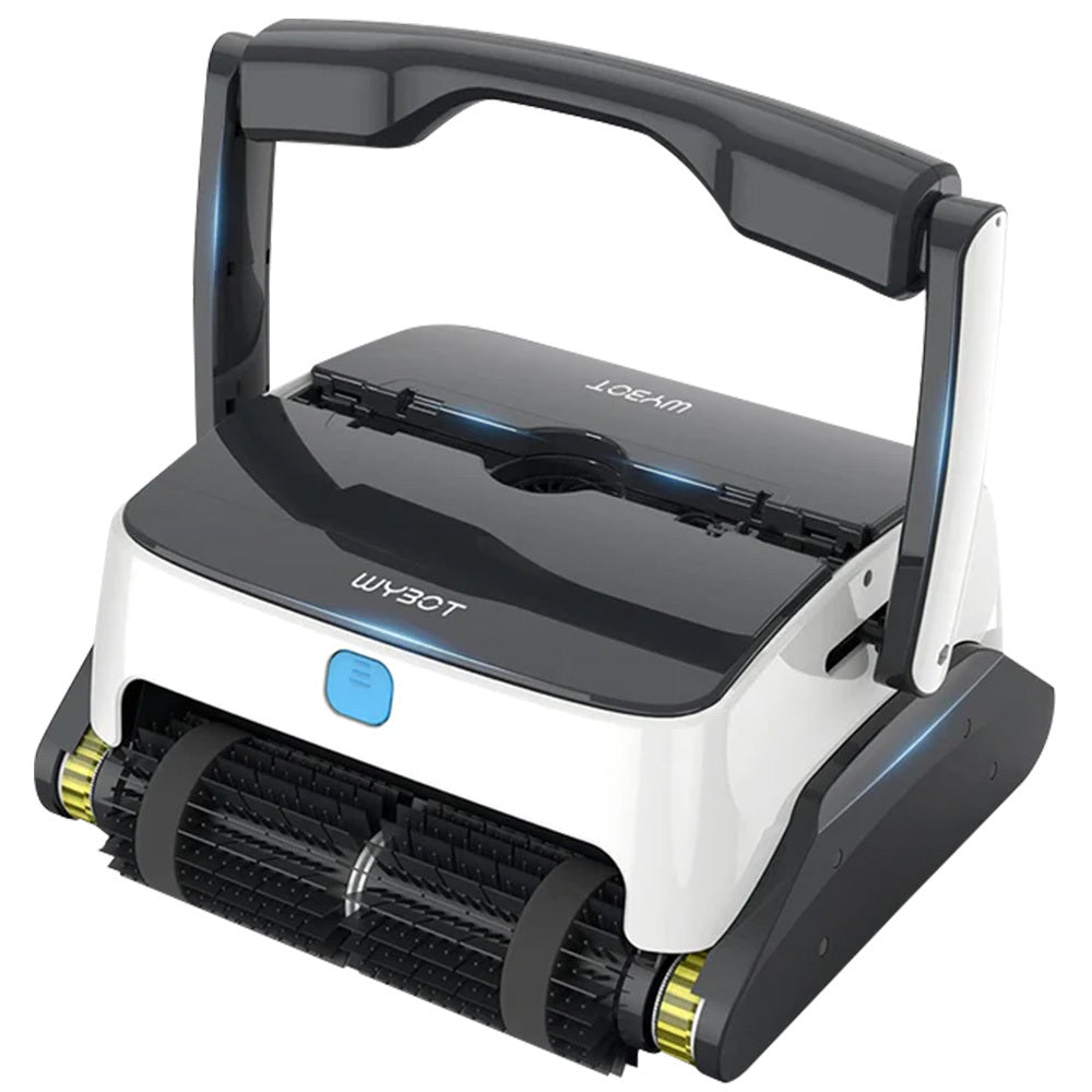 Pool Sweeps & Vacuums