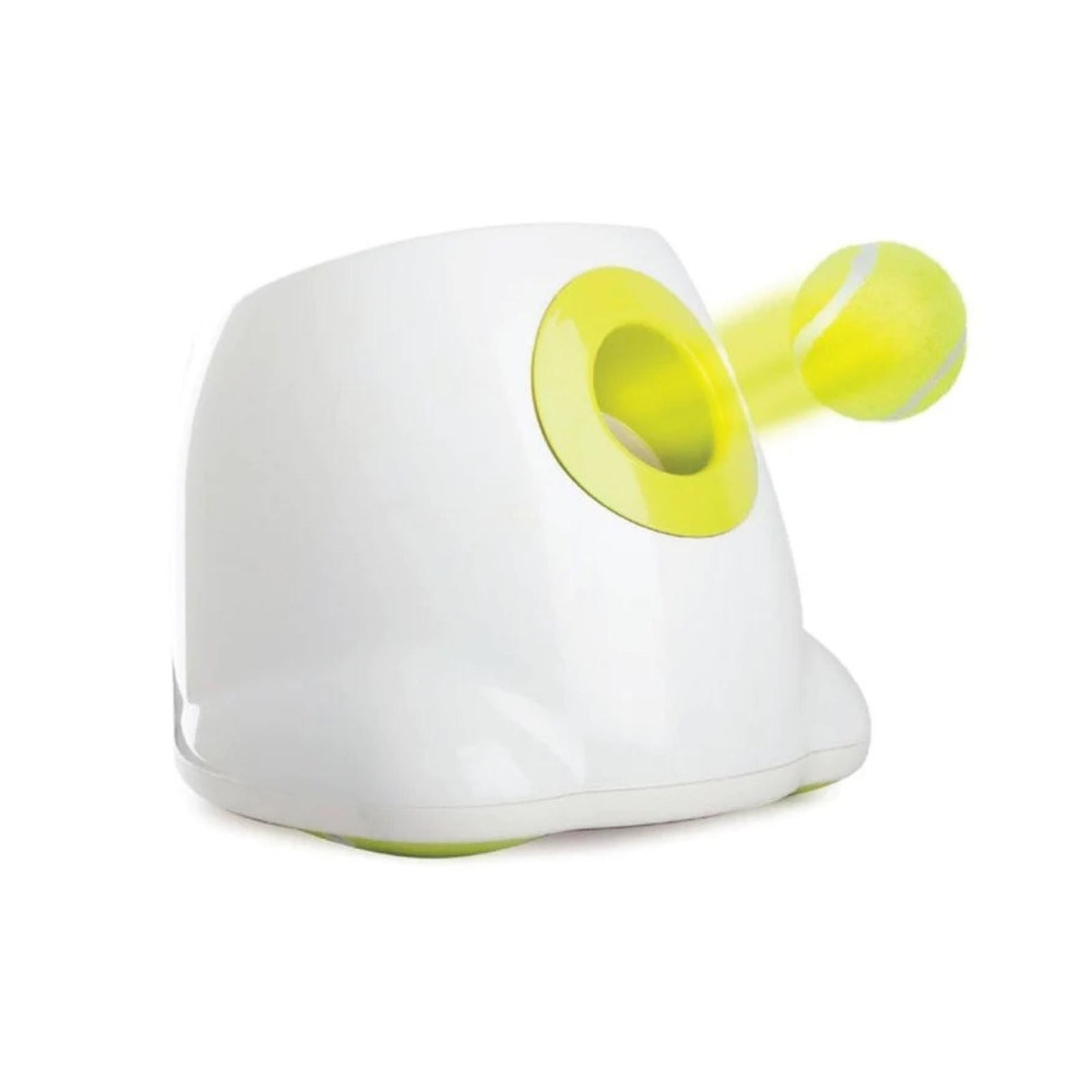 Dog Toys