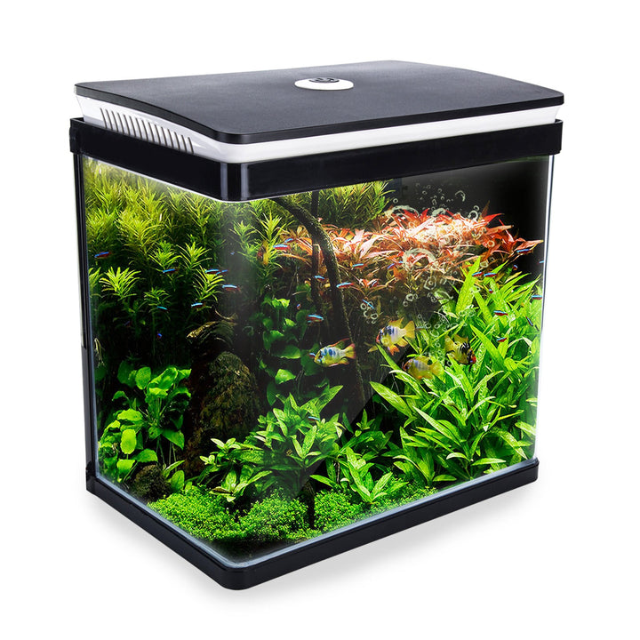 Aquariums