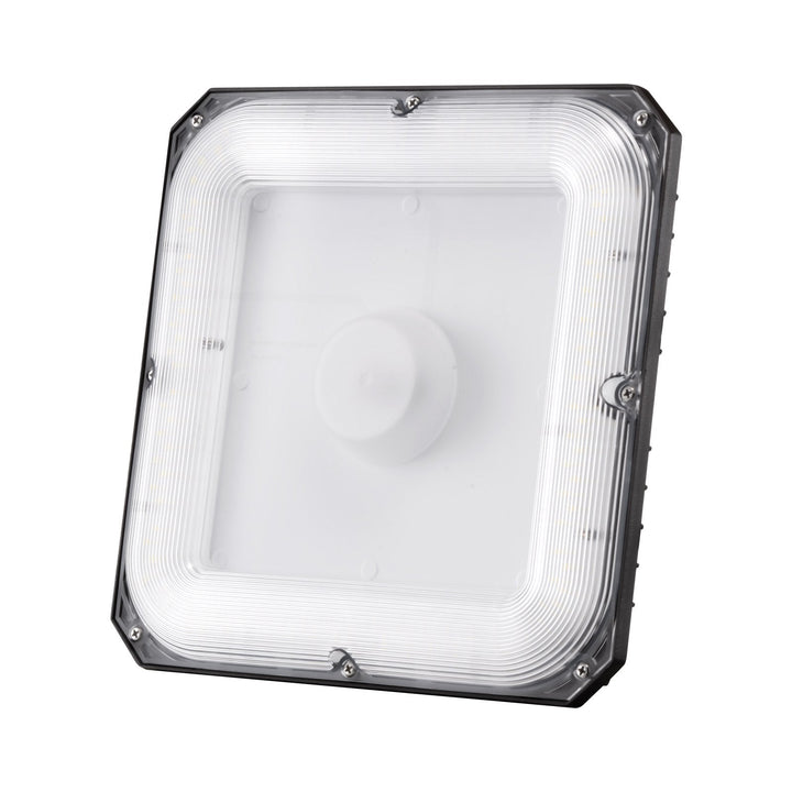Outdoor Lights