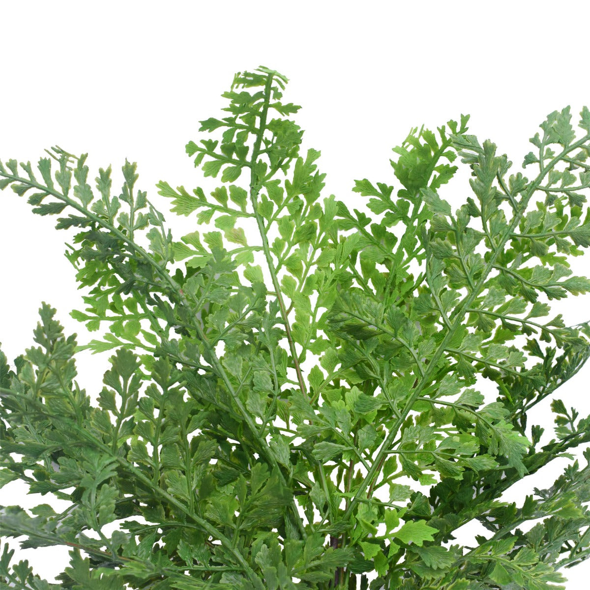 Faux Maden Hair Fern Stem 40cm V77-1128544