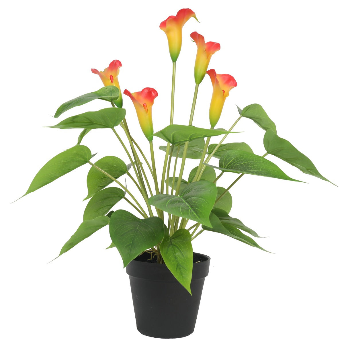 Artificial Flowering White & Orange Peace Lily / Calla Lily Plant 50cm V77-1128563
