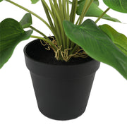 Artificial Flowering White & Orange Peace Lily / Calla Lily Plant 50cm V77-1128563