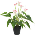 Artificial Flowering White & Pink Peace Lily / Calla Lily Plant 50cm V77-1128564