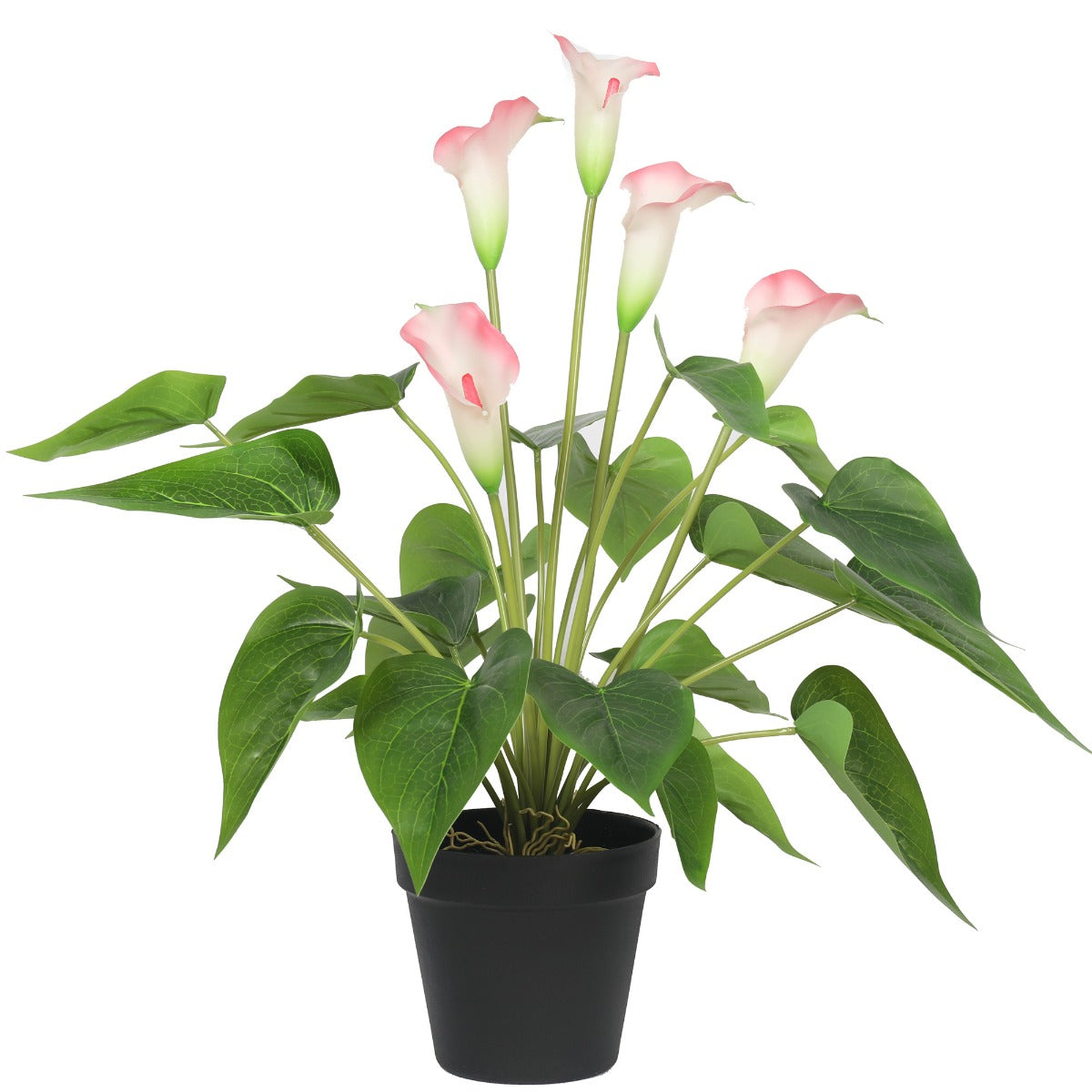Artificial Flowering White & Pink Peace Lily / Calla Lily Plant 50cm V77-1128564