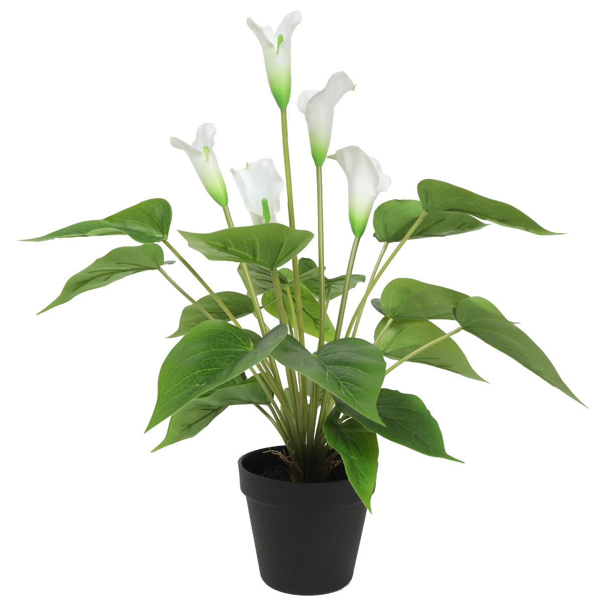 Artificial Flowering White Peace Lily / Calla Lily Plant 50cm V77-1128565