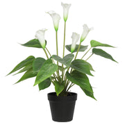 Artificial Flowering White Peace Lily / Calla Lily Plant 50cm V77-1128565