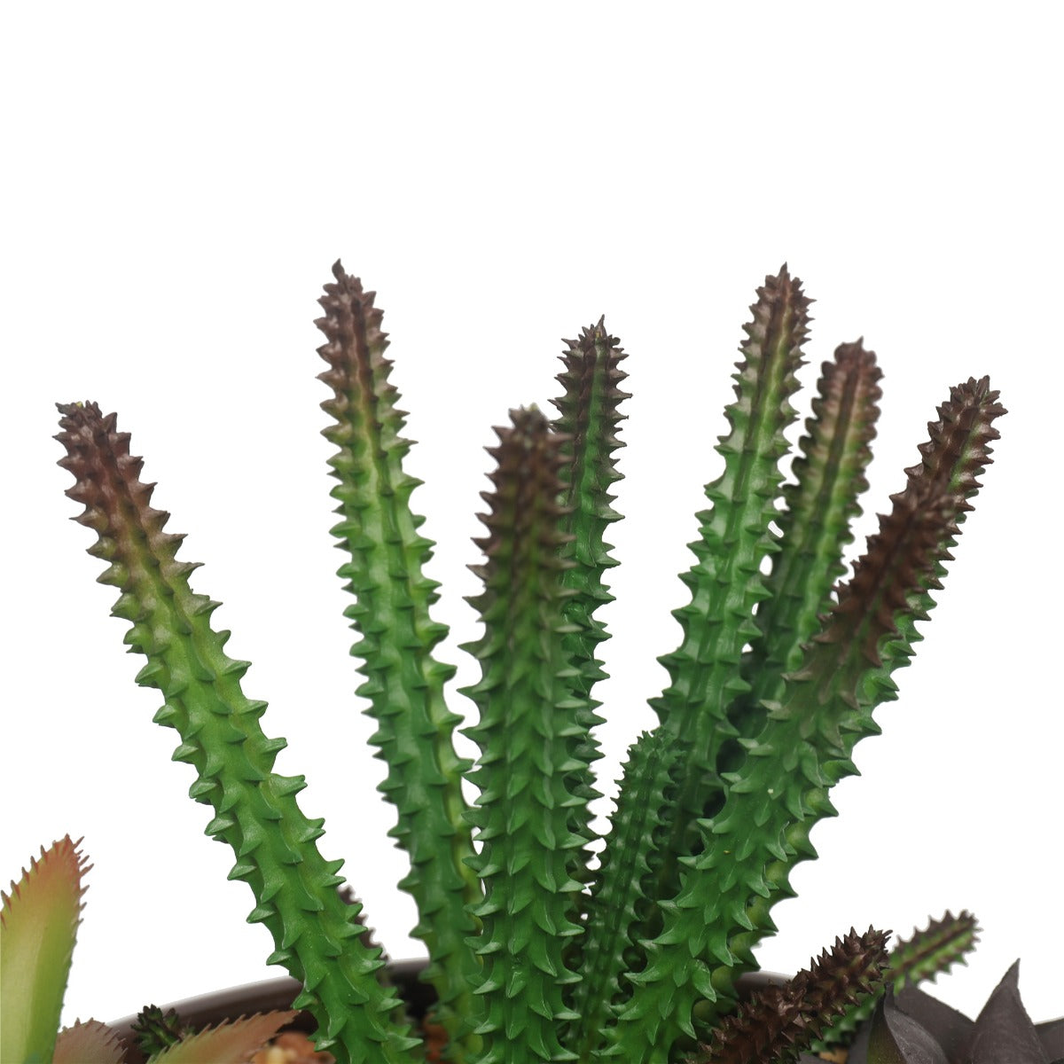 Potted Artificial Succulents with Round Decorative Bowl 19cm V77-1780016