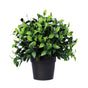 Small Potted Artificial Jasmine Plant UV Resistant 20cm V77-1013091