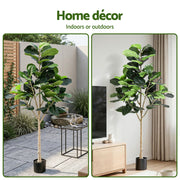 Artiss 180cm Artificial Fiddle Tree Faux Trees Indoor Decor Artificial Plants Lifelike Plant 1.8M AP-TREE-FIDDLE-180