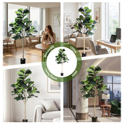 Artiss 180cm Artificial Fiddle Tree Faux Trees Indoor Decor Artificial Plants Lifelike Plant 1.8M AP-TREE-FIDDLE-180