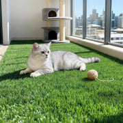 Prime Turf Artificial Grass Turf Rug Fake Grass 2 Rolls 15mm Height 50cm x 2m Indoor Outdoor Synthetic Grass AR-GRASS-50X200-OL