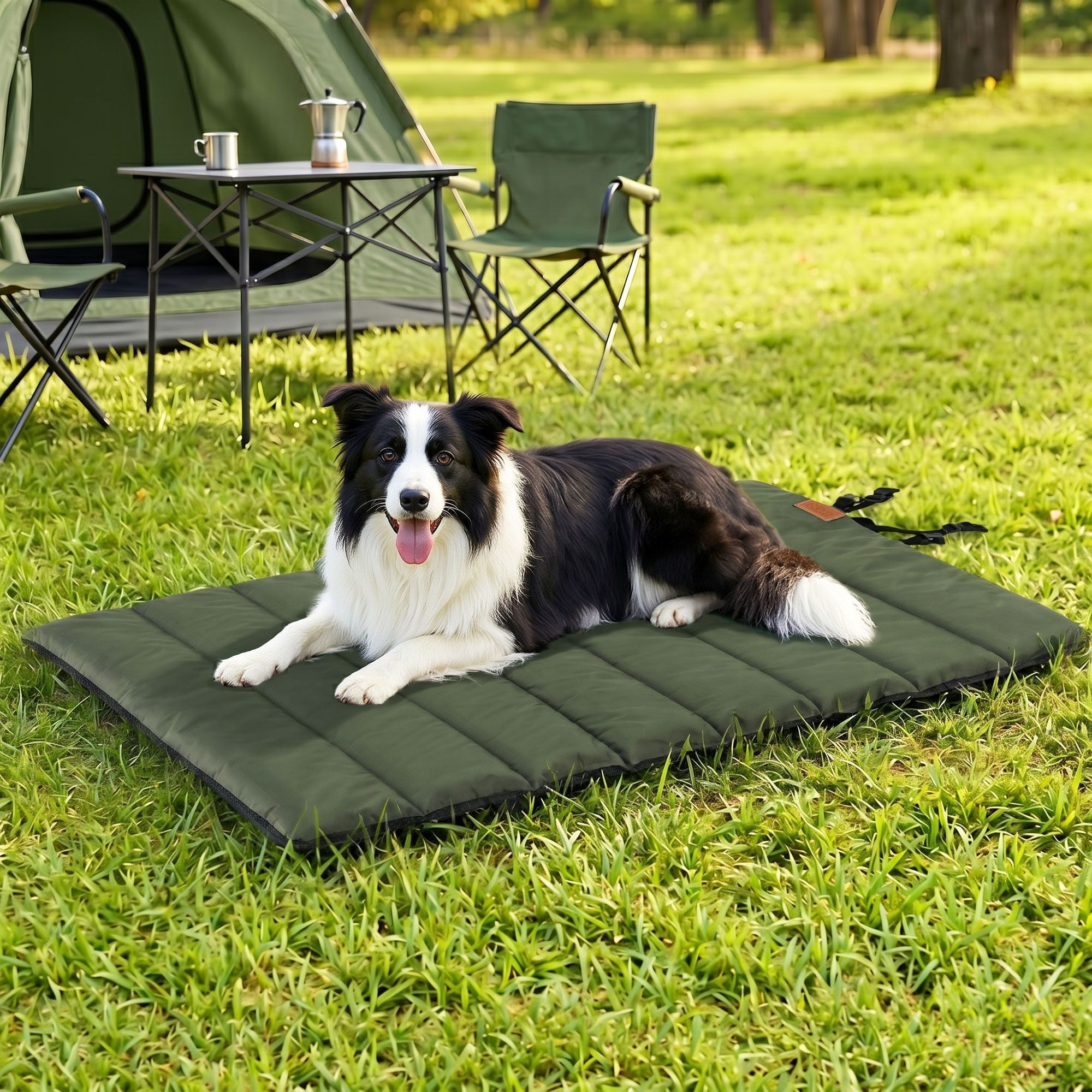 i.Pet Outdoor Dog Bed Large Water-resistant Washable Foldable Travel Dog Mat Green DBED-ROLL-GN