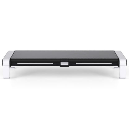 Artiss RGB Monitor Stand with USB Hub Desk Organiser Charging Stand Computer Stand Black DR-STB-171