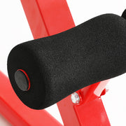 Everfit Weight Bench Adjustable Roman Chair 10 in 1 Home Gym Fitness 200kg FIT-I-BENCH-FID-RD